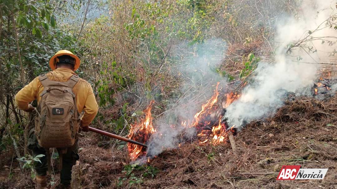 Prevención de incendios forestales: tarea de todas y todos