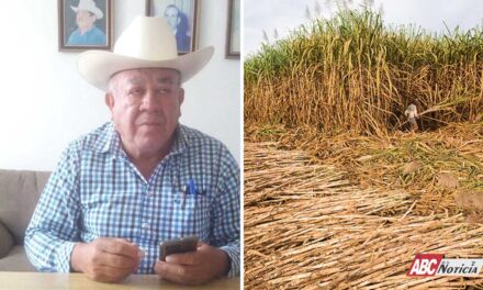 A unos días de que concluya la zafra cañera 2025-2026: J. Guadalupe Guzmán