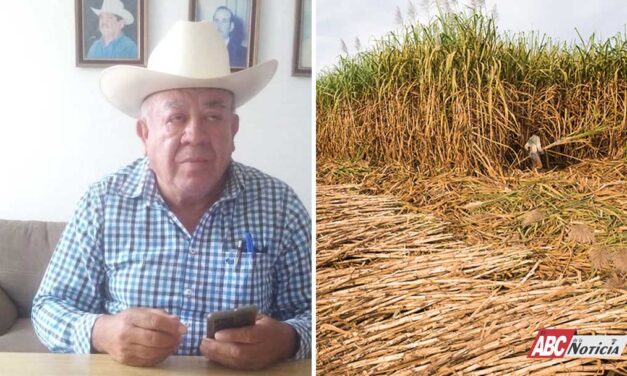A unos días de que concluya la zafra cañera 2025-2026: J. Guadalupe Guzmán