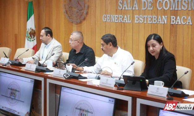 Analiza Congreso ratificación de la consejera del FAN