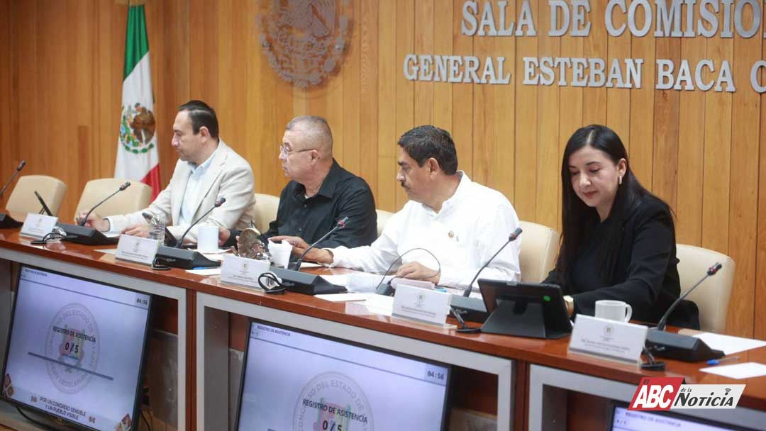 Analiza Congreso ratificación de la consejera del FAN