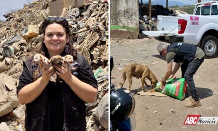 CBA Tepic, rescatistas y animalistas, unen esfuerzos para atender a los perritos en El Iztete