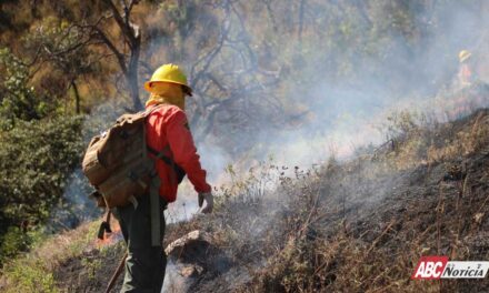 Combaten incendio forestal en el cerro San Juan para evitar mayores riesgos
