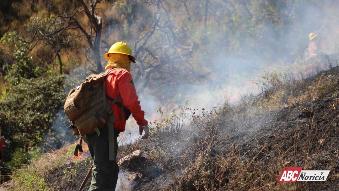 Combaten incendio forestal en el cerro San Juan para evitar mayores riesgos
