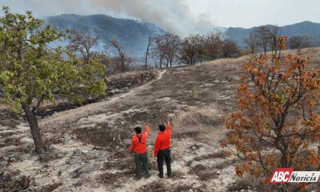 Controlan incendio forestal interestatal en “Loma de los Lobos”, en Ixtlán del Río