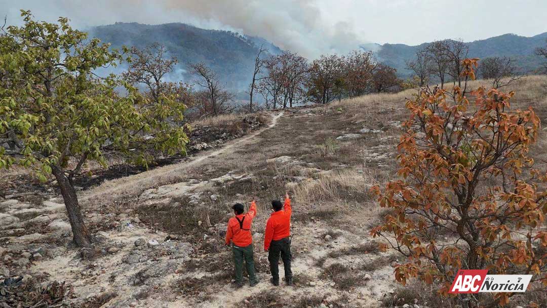 Controlan incendio forestal interestatal en “Loma de los Lobos”, en Ixtlán del Río