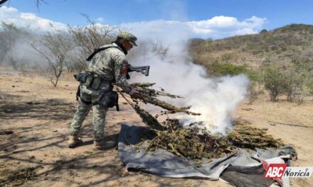 Coordinación institucional y prevención fortalecen la tranquilidad en Nayarit