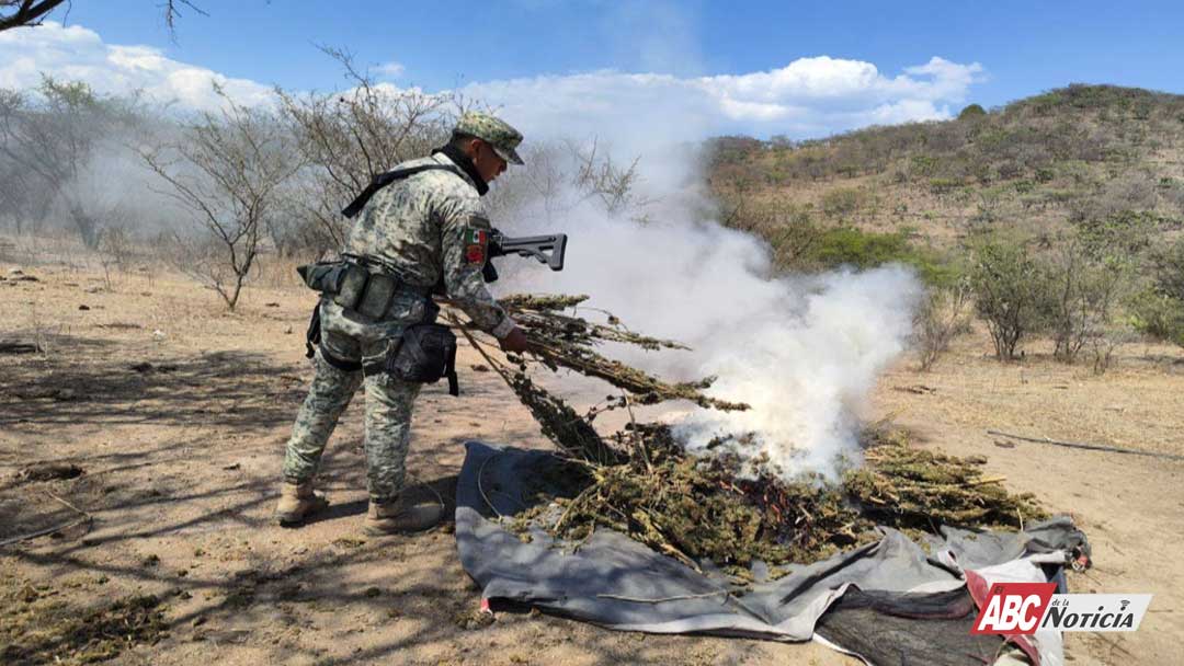 Coordinación institucional y prevención fortalecen la tranquilidad en Nayarit