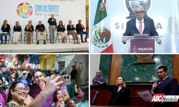 Dimensión Política