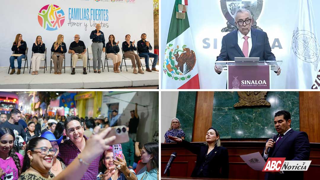 Dimensión Política