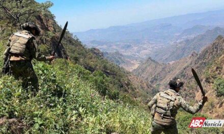 En Nayarit se fortalece la paz con prevención, cercanía y trabajo comunitario
