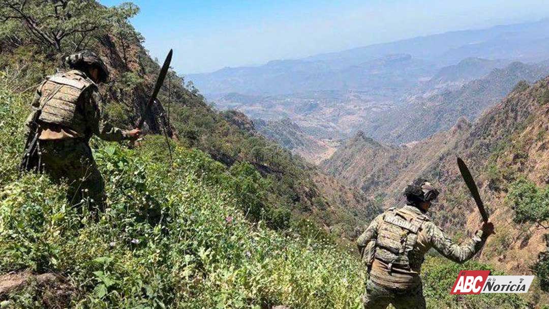 En Nayarit se fortalece la paz con prevención, cercanía y trabajo comunitario