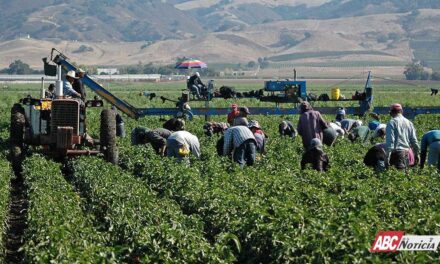 Gobierno de Bahía de Banderas refuerza atención al sector agropecuario