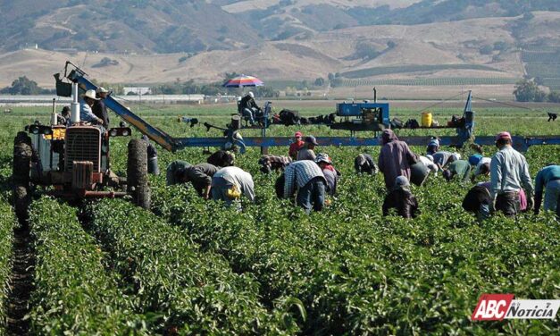 Gobierno de Bahía de Banderas refuerza atención al sector agropecuario