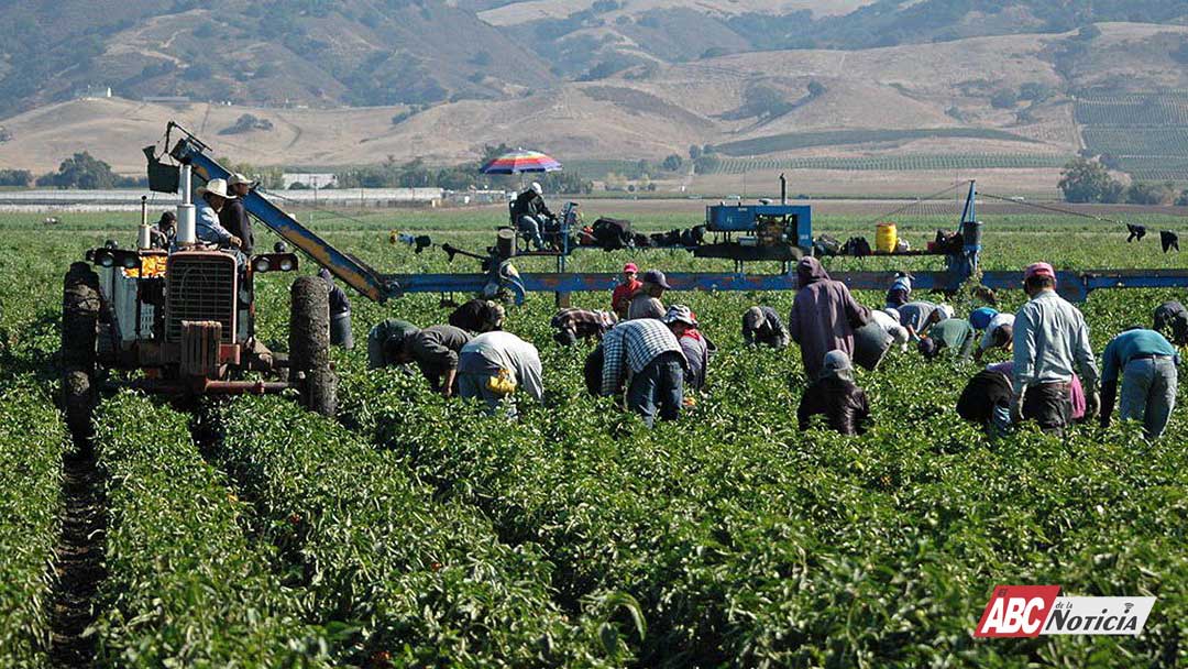 Gobierno de Bahía de Banderas refuerza atención al sector agropecuario