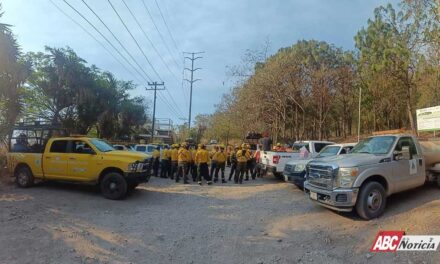 Gobierno del Estado continúa labores para liquidar incendio forestal “El Tecolote” en el cerro San Juan