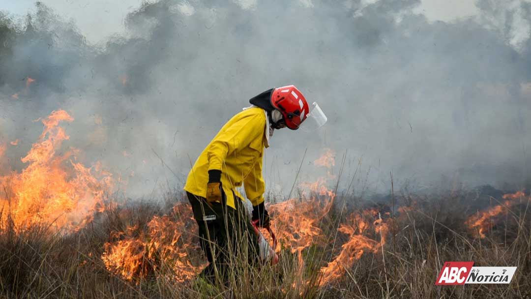 Prevención, la clave para evitar incendios en Bahía de Banderas