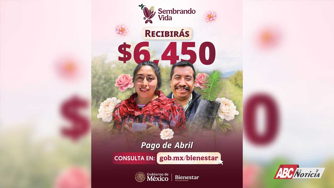 Realiza Sembrando Vida el pago del jornal a 415 mil 499 sembradoras y sembradores del país
