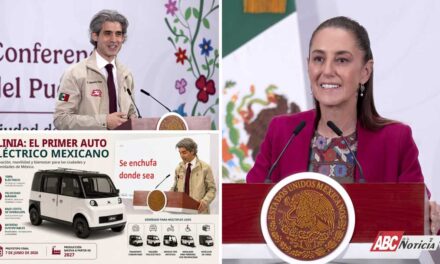 Dimensión Política