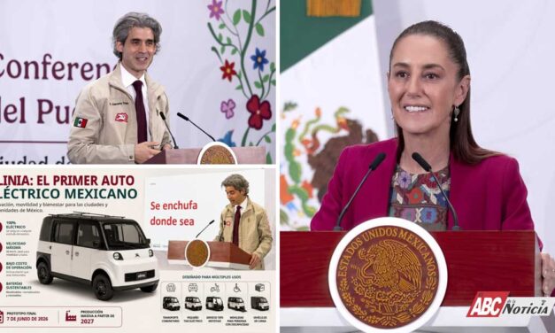 Dimensión Política