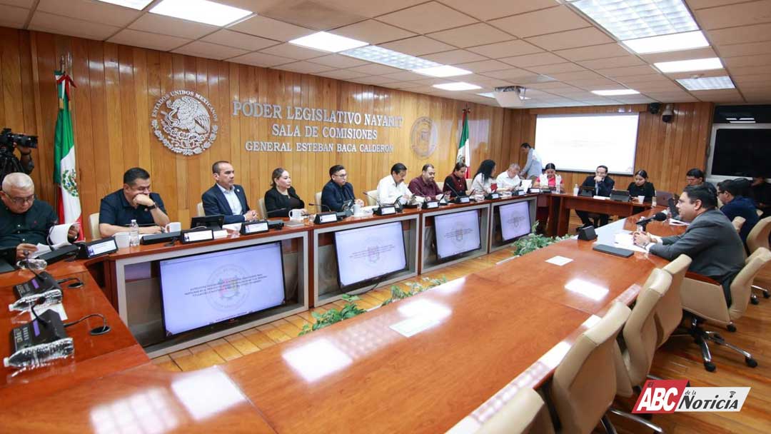 Analiza Congreso perfiles de aspirantes a la titularidad de la ASEN