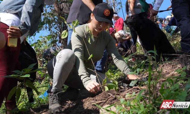 ¡Juntas y juntos ayudamos a construir una ciudad más verde!