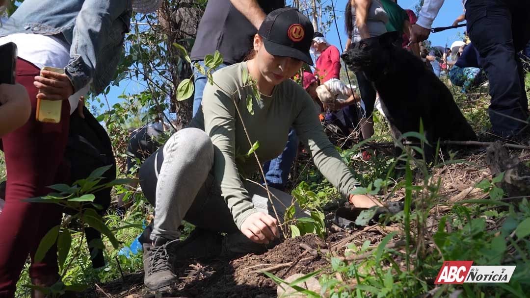 ¡Juntas y juntos ayudamos a construir una ciudad más verde!