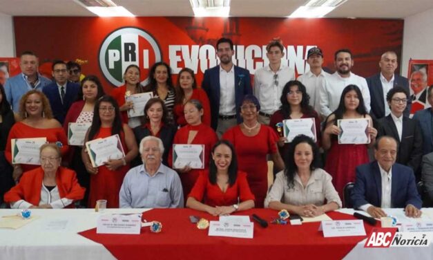 Dimensión Política
