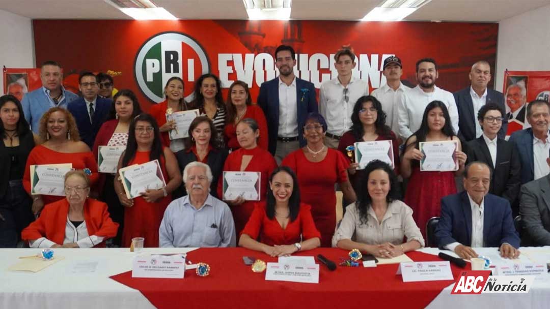 Dimensión Política