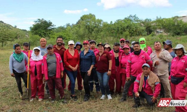 Gobierno de Tepic atiende solicitud de limpieza en la colonia El Faisán